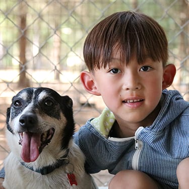 Adopt An Animal Cats and Dogs - International camper with dog - Cub Creek Science and Animal Camp