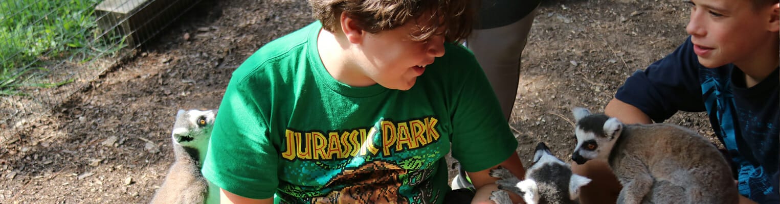 Animal Sponsorship - Campers playing with lemurs - Cub Creek Science and Animal Camp