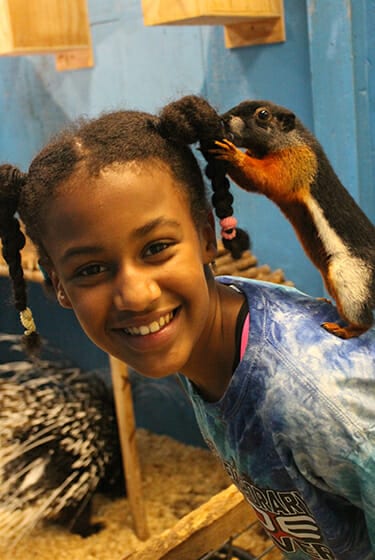 Animals At Camp - Camper hanging out with Provost squirrel - Cub Creek Science and Animal Camp