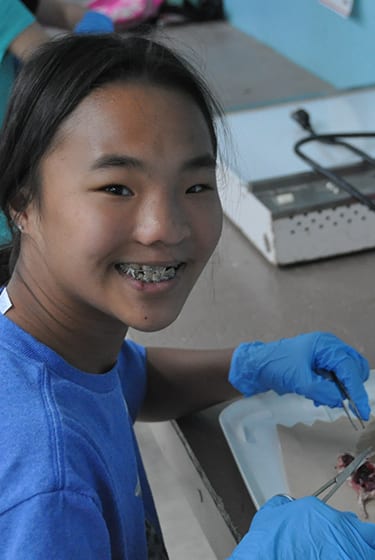 Animals At Camp - Camper dissecting mouse in Jr. Vet Course - Cub Creek Science and Animal Camp