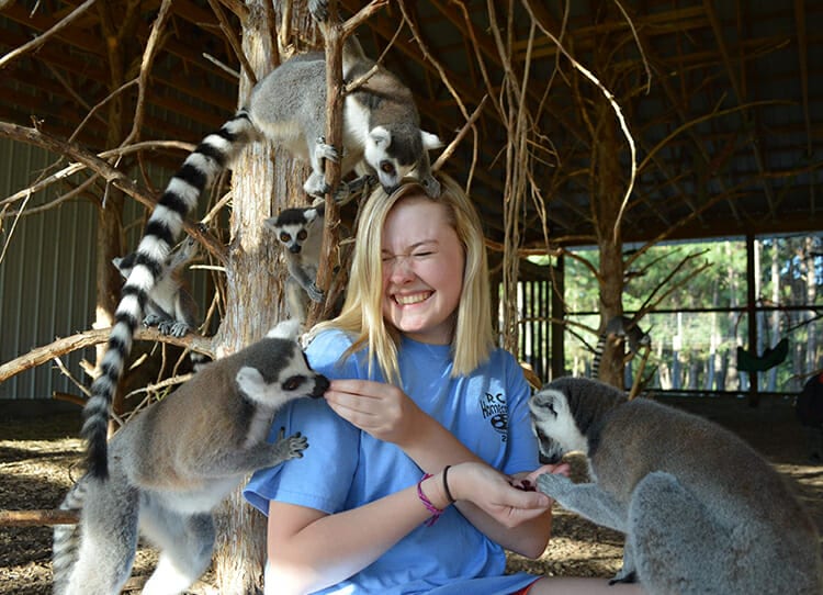 Brochure - Camper playing with lemurs - Cub Creek Science and Animal Camp