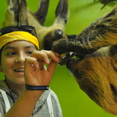 Camp Activities - Activity Periods - Cub Creek Science and Animal Camp