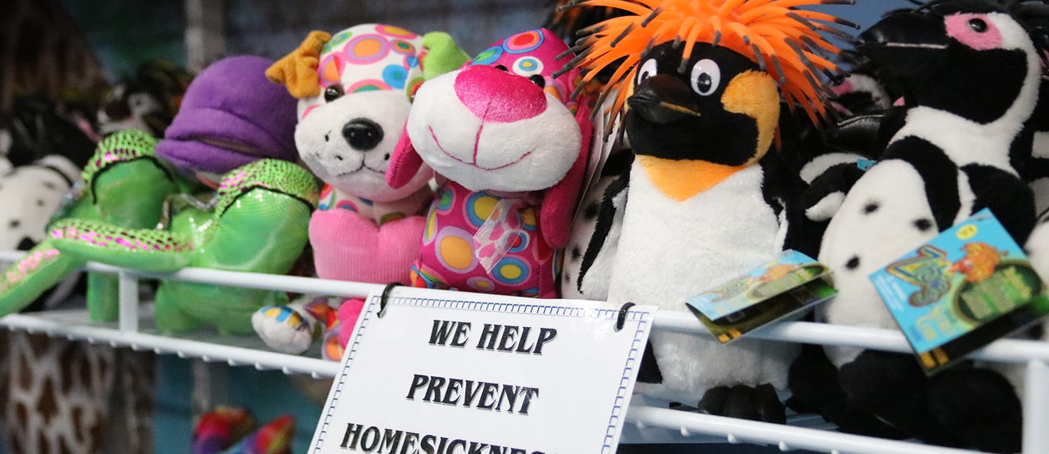 Camp Store - Plushies help with homesick campers - Cub Creek Science and Animal Camp