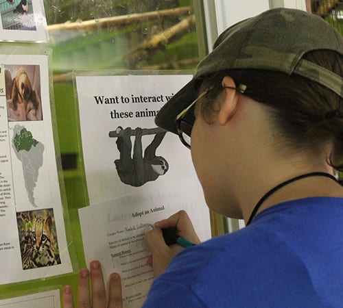 Daily Schedule - Camper filling out Adopt An Animal sheet - Cub Creek Science and Animal Camp