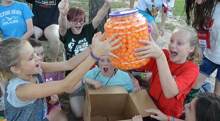 Evening Activities - Blind Auction - Cub Creek Science and Animal Camp