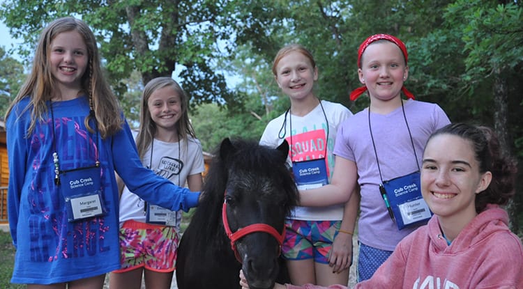 Evening Activities - Circle of Life - Cub Creek Science and Animal Camp