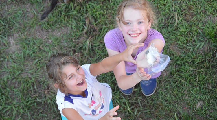 Evening Activities - Egg Drop - Cub Creek Science and Animal Camp