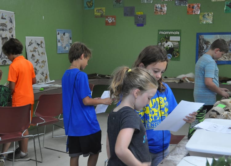 Field Trip - Kids learning in nature center - Cub Creek Science and Animal Camp