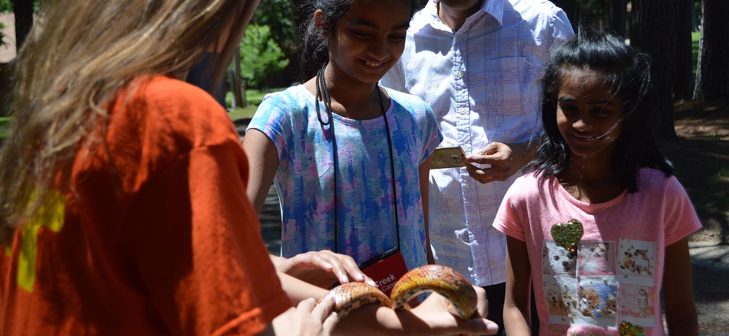 First Time Families - Camper family looking at Corn Snake - Cub Creek Science and Animal Camp