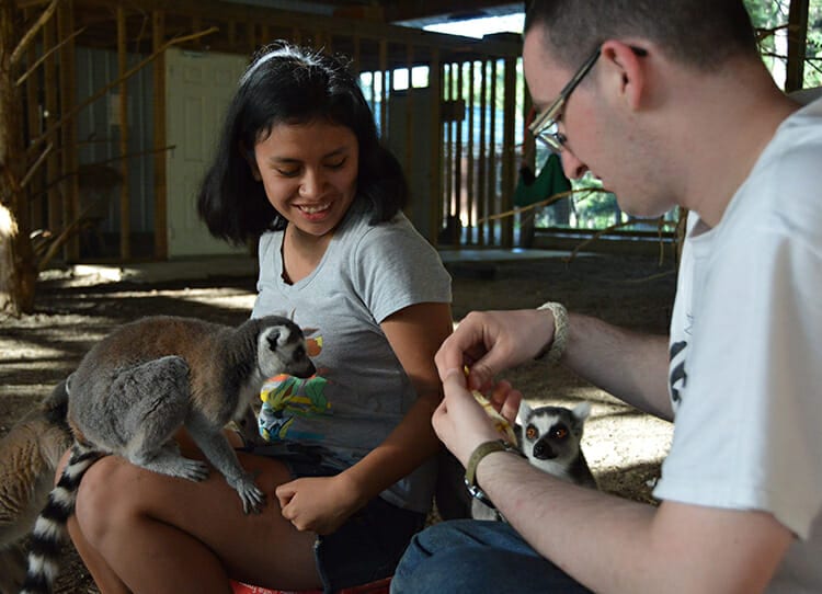 Gap Year Program - Gap Year Students socializing animals - Cub Creek Science and Animal Camp