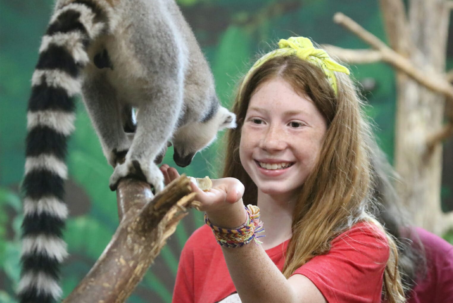 Animal Camp - Cub Creek Science and Animal Camp - Girl camper feeding lemur