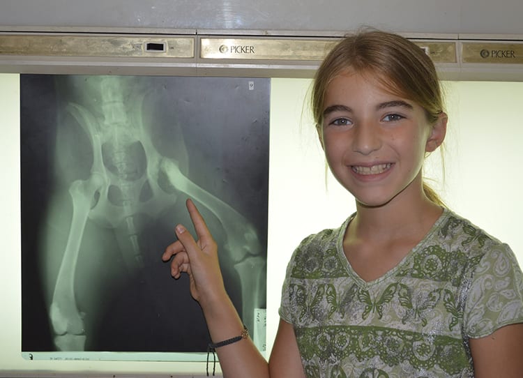 Junior Vet - Camper examining x-rays - Cub Creek Science and Animal Camp