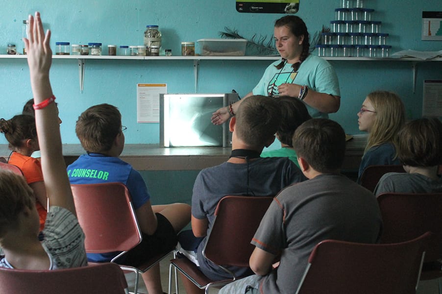 Junior Vet - Class examining x ray - Cub Creek Science and Animal Camp