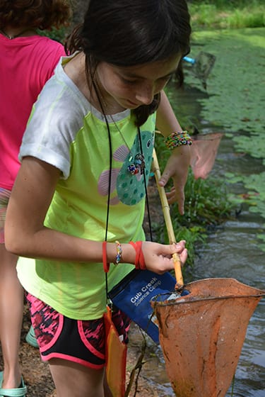 Nature At Camp - Pond Study - Camper looking in net - Cub Creek Science and Animal Camp