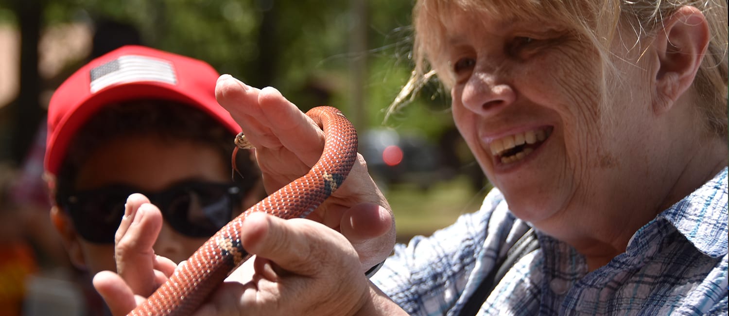 Offseason Animal Encounter - Family holding Sinaloan Milk Snake - Cub Creek Science and Animal Camp