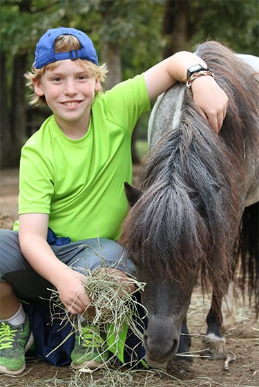 Adopt_an_animal-boy_with_horse