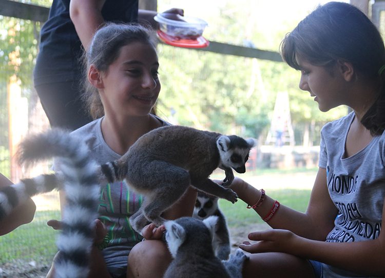 STEM Summer Program - Cub Creek Science Camp - Science Animal Science