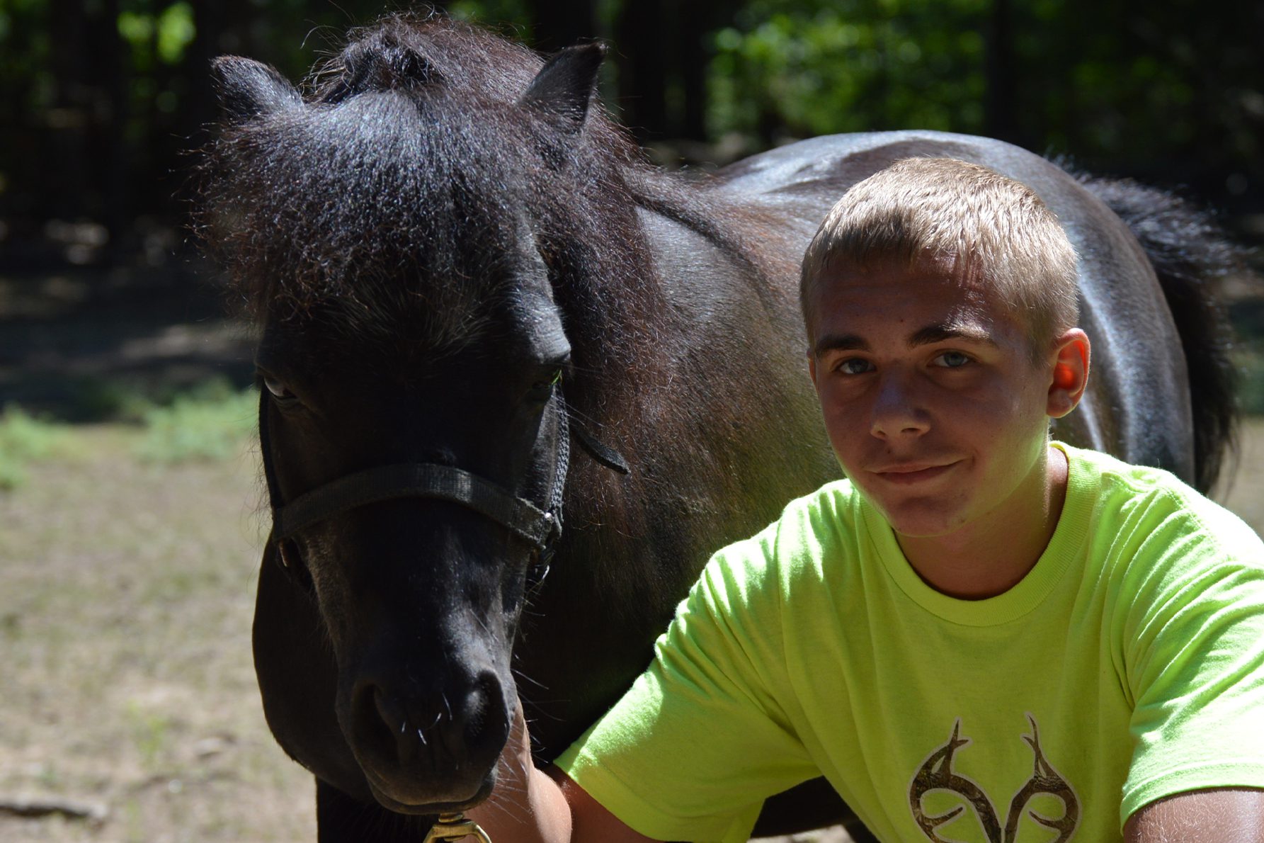 Miniature Horse - Cub Creek Science and Animal Camp