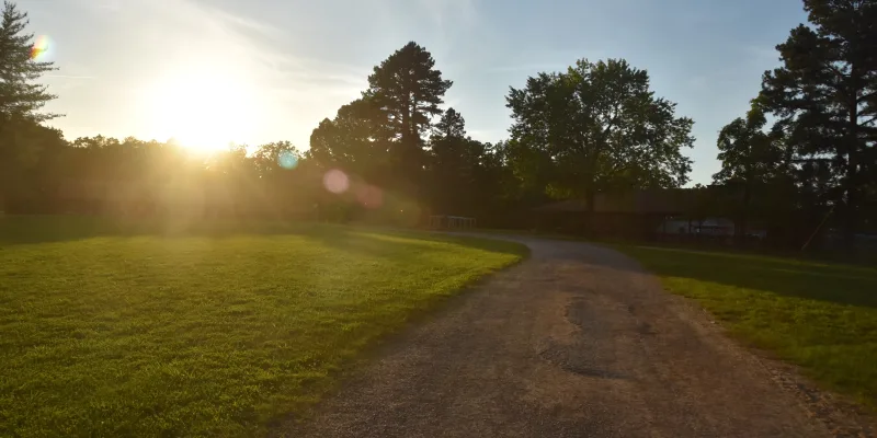 Filler Content Fox Field Sunshine 2022 ARI