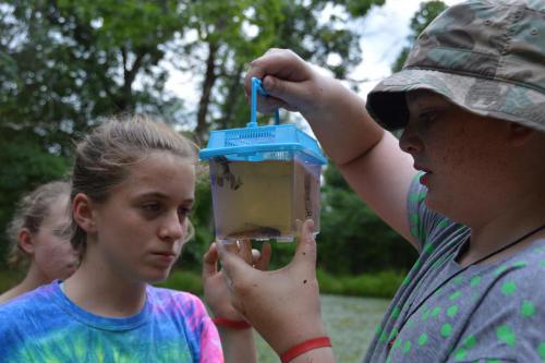 Pond Study - Cub Creek Science and Animal Camp
